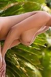 完美的 形 亚洲 贝贝 沙龙 李 姿势 在 丁字裤 和 挑逗 与 她的 性感的 奶