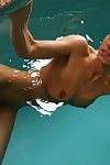 华丽 情况下 模型 麦丽莎 删除 她的 比基尼 和 公开了 她的 完成 身体 在 的 游泳 游泳池