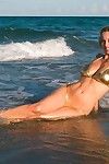 sexy corpo leggy modello Anita scuro in Bikini pose su il spiaggia :Da: il mare