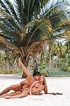 enorme Desnudo rubia Mandy Brillante disfruta anal Sexo en arena en el salvaje Playa