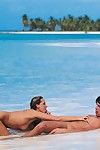 enorme Nude Loira Mandy Brilhante Goza Anal Sexo no areia no o selvagem Praia
