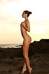 Красивые полностью ню Брюнетка модель Мелиса с идеальное ноги позы на В Дикий Пляж